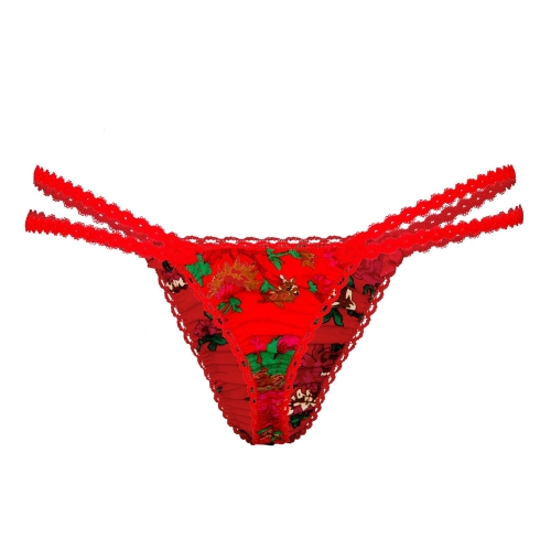 pol_pl_Stringi-folk-3500_2.jpg