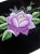a172bc9887390017f277ee372fc22317